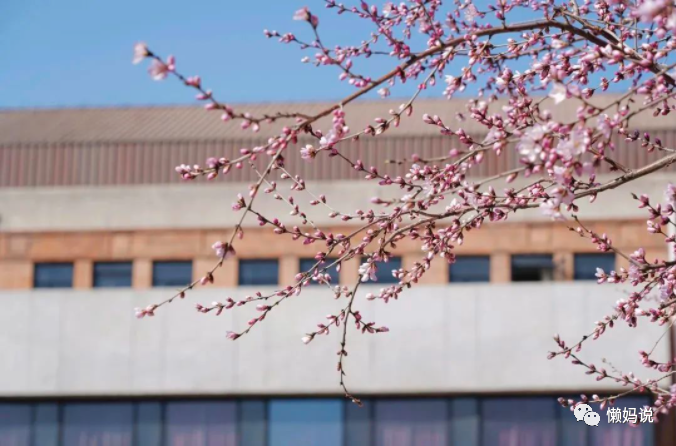 长沙中考报名耀华中学 懒妈说中考（11）：高中开篇～透过迷雾看民办高中之《总序》。