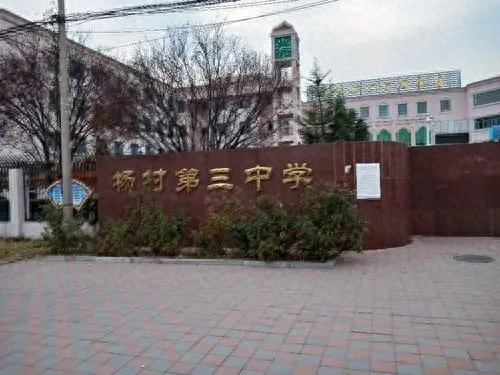 耀华中学 长沙到 天津 来津购房入学指南之教育篇（系列四）市六区VS武清